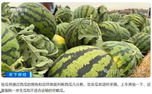 瓜老师